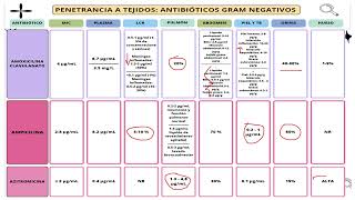 Penetrancia a Tejidos de los Antibióticos clave en la decisión terapéutica [upl. by Sylas]