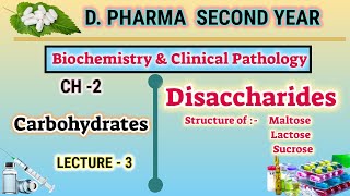 Disaccharides  Maltose  Lactose  Sucrose  Ch2  L3  Carbohydrates  DPharm second year [upl. by Ahsahs]