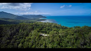 3 Day Cape Tribulation amp Cooktown Wanderer Small Group Touring from Cairns [upl. by Rambort]