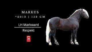 Markus 2013 v Markward  Respekt [upl. by Turino]