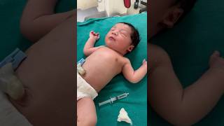 Newborn Catheterisation And Blood Sample Collection 👶 hospitallife newbornbaby icu sickbaby [upl. by Barhos]