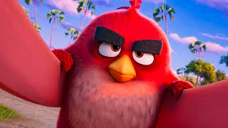 THE ANGRY BIRDS MOVIE 3  Official Teaser Trailer [upl. by Saleme]