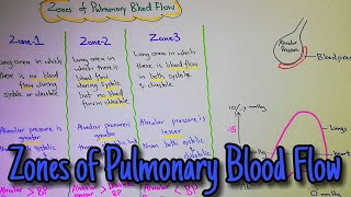 Zones of pulmonary blood flow Chapter 39 part 4 Guyton and hall text book of physiology [upl. by Elleneg]