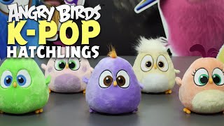 Angry Birds  Hatchlings Kpop [upl. by Aseen]