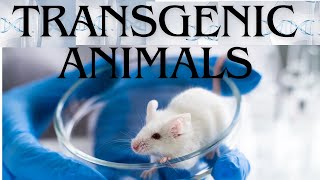 Transgenic Animals [upl. by Namsu731]