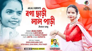 Boga Saree Laal Padi  Anjali Kurmi New Jhumur Song 2023 [upl. by Joan]