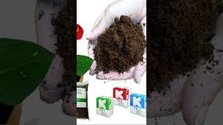 SPHAGNUM PEAT MOSS by Klasmann KASMANN TS3 2liter pack highlights gardening fyp ytshorts [upl. by Pardoes490]