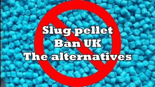 Slug Pellet ban UK What are the alternatives to start using now [upl. by Adleremse]