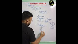 Kingdom Animalia Class 11Animalia Kingdom Classification Class 11 Part9 btosacademy [upl. by Vanna]