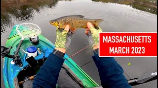 Caught a really big golden shiner Kayak fishing Massasoit State Park March 2023 [upl. by Madlin]