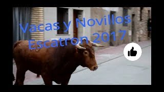 Fiestas Escatrón 2017 Vacas y Novillos domingo por la Tarde [upl. by Donna549]