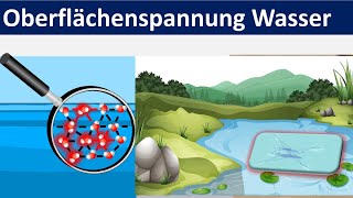 Oberflächenspannung von Wasser Biologie  Chemie Mittelstufe [upl. by Ithnan]