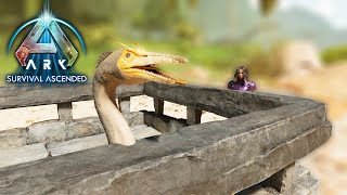 TAMING HESPERONIS FOR GOLDEN EGGS  THE ISLAND ARK SURVIVAL ASCENDED EP 21 [upl. by Norud]