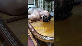 shirodhara ayurveda panchakarmatherapy massagetherapy panchakarma diet [upl. by Lough]