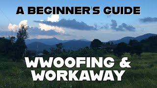 WWOOFING  WORKAWAY ADVICE  My Experiences in Hawaii Spain and Thailand [upl. by Fosque586]