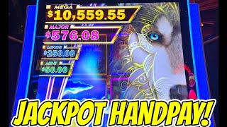 🚨NEW SLOT HANDPAY ON ACTION LINK LEADER OF THE PACK [upl. by Anaxor]