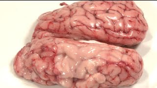 DeepFried Brains  How To [upl. by Ellerahc]