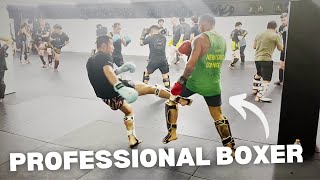 Professional Boxer Tries Muay ThaiMMA Sparring [upl. by Nnahaid]