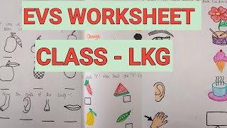 EVS Worksheet For Class LKG  EVS Worksheet  Class LKG Worksheet  Practice Worksheet [upl. by Lipkin701]