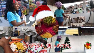 PREPARATIVOS PARA O NATAL❤️🎄minnynovamente [upl. by Akinnor]