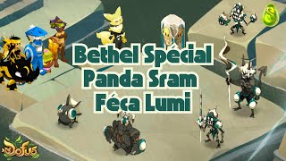 Dofus Bethel Spécial Panda Sram Féca Lumino  Explications [upl. by Ayojal734]