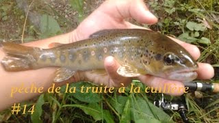 pêche de la truite à la cuillère 14 [upl. by Etep]