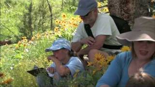 Yellowstone for Families Web Promo  National Park [upl. by Russel241]