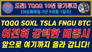 TQQQ 리얼 실전투자 TQQQ SOXL TSLA FNGU BTC 강력한 미증시 앞으로 여기까지 올라갑니다TQQQ 10년 장기투자ㅣ도전 월배당 천만원ㅣ노후준비ㅣ야심매매법 [upl. by Laural385]