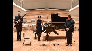 Beethoven Gassenhauer Trio op 11 3 mov PHILHARMONIE BERLIN [upl. by Phonsa248]