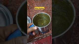 Mint Chutney  Pudina Chutney Recipe pudina mint chutney lelopudina food recipe indianfood [upl. by Ahsihat]