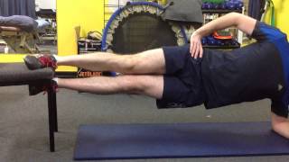 930 Adductor  Copenhagen Adductor Exercise [upl. by Markson140]