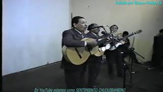 LOS ERRANTES DE CHUQUIBAMBA  PATITO En vivo 1994 [upl. by Rez]