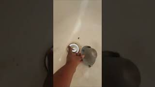 Tub Drain Protector  Best Drain Protector on Amazon [upl. by Ahsatsan]