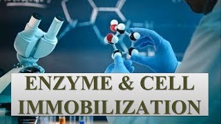 ENZYME amp CELL IMMOBILIZATION [upl. by Ecnerwal]