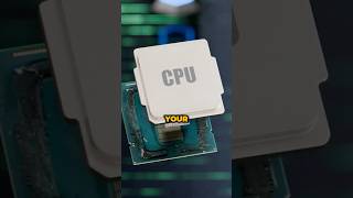 Whats INSIDE Your Processor [upl. by Bertero299]