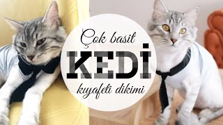 KRAVATLI KEDİ KIYAFETİ DİKİMİ  ÇOK BASİT  DIY CAT DRESS [upl. by Onifled]