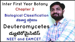 Deuteromycetes  డ్యుటిరోమైసిటిస్  Biological Classification  జీవశాస్త్ర వర్గీకరణ [upl. by Nodnil640]