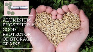 Grains Storage using Aluminium Phosphide Fumigant Uses Safety and Application [upl. by Khano892]