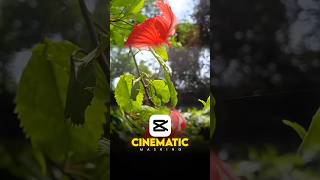 How to edit Cinematic Masking Tutorial Capcut  Capcut Masking Tutorialshorts capcut trending [upl. by Aiclef]