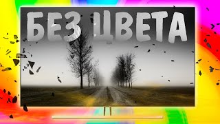 Как установить чернобелое изображение на телевизор [upl. by Llesirg]