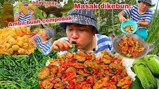 SERU ‼️CARI BUAH CEMPEDAK DIKEBUN EMAKADA TUPAY MASAK DIKEBUN LANGSUNG MAKAN [upl. by Rector877]