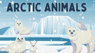 Fun Arctic Animals Song for Kids  Polar Bears Narwhals and More [upl. by Norrie897]