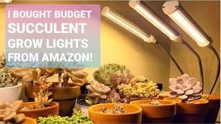 95 CHEAP SUCCULENT GROW LIGHTS FROM AMAZON [upl. by Eirod]