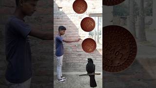 Birds fire Name 🦆🦜youtube vfx vfxshorts trending viralvideo [upl. by Carolina]