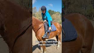 Horse care tips How to check and adjust your girth while mounted horsecaretips pony horse [upl. by Niles]