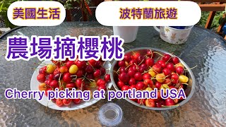 38 【美國旅遊】 Cherry picking at portland US 【波特蘭】農場摘櫻桃 Cherry farm [upl. by Gnuhp]