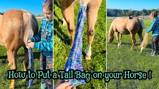 How to Put a Tail Bag on Your Horse [upl. by Lavona]