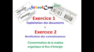 Exercice 1 Exercice 2 quotUnité 1  Consommation de la matière organique et flux d’énergiequot [upl. by Tonjes]