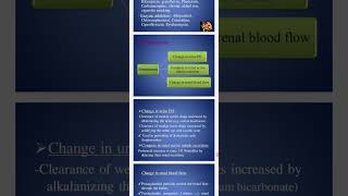 drug drug interactions L3 [upl. by Aneez691]