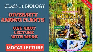 DIVERSITY AMONG PLANTS ONE SHOT PART 22  MCQS ALSO EXPLAINED  DOCTORS STOP BIOLOGY [upl. by Aonehc]